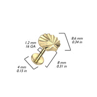 Labret met schelp, zilverkleurig titanium - maat in afbeelding  – voor helix of tragus