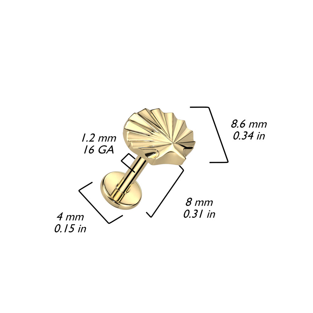 abret met schelpje, maat in afbeelding staaf, goudkleurig titanium – geschikt voor oorpiercing