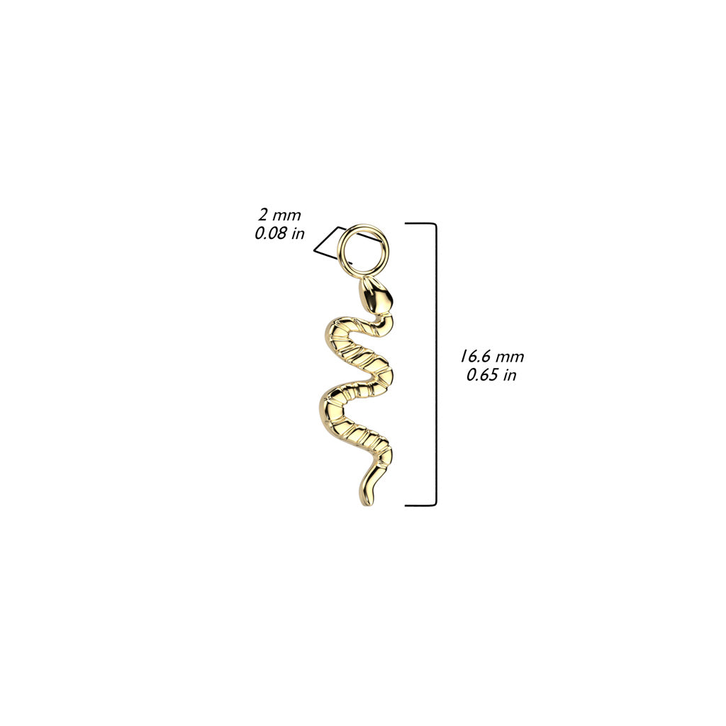 Piercing o Pendiente Charm Serpiente Color Plata - Titanio