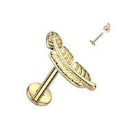 Goudkleurige labret met veer – titanium – helix of tragus